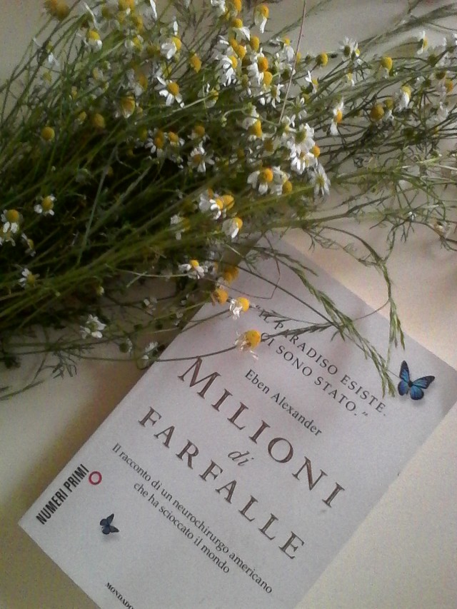 Libro: Milioni di Farfalle